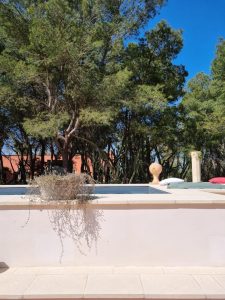 Petra Country House: Sustainable Stay in Salento